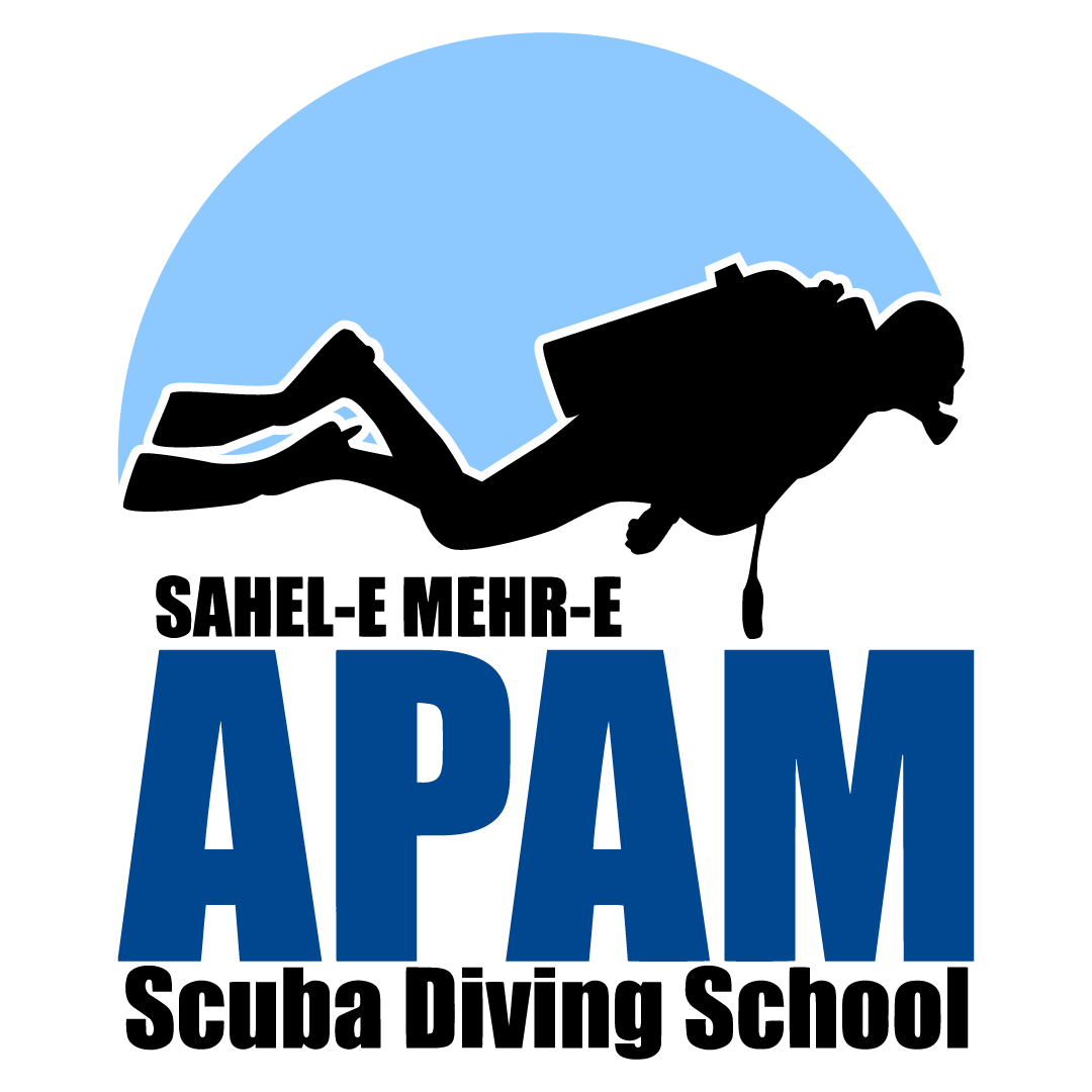 Apam logo
